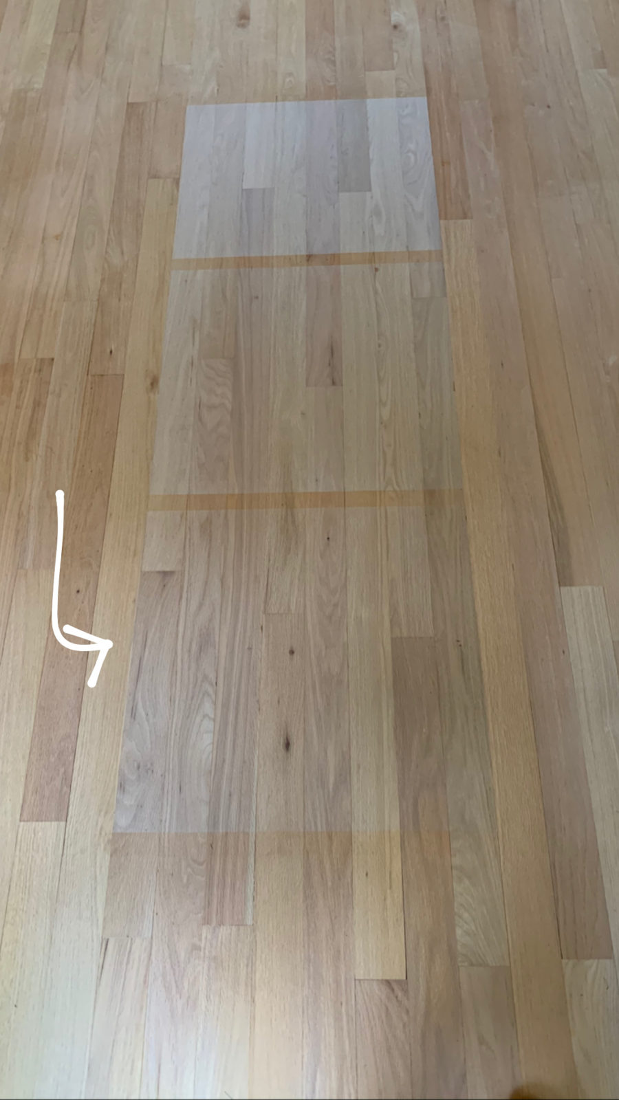 refinishing our hardwood floors Claire Guentz